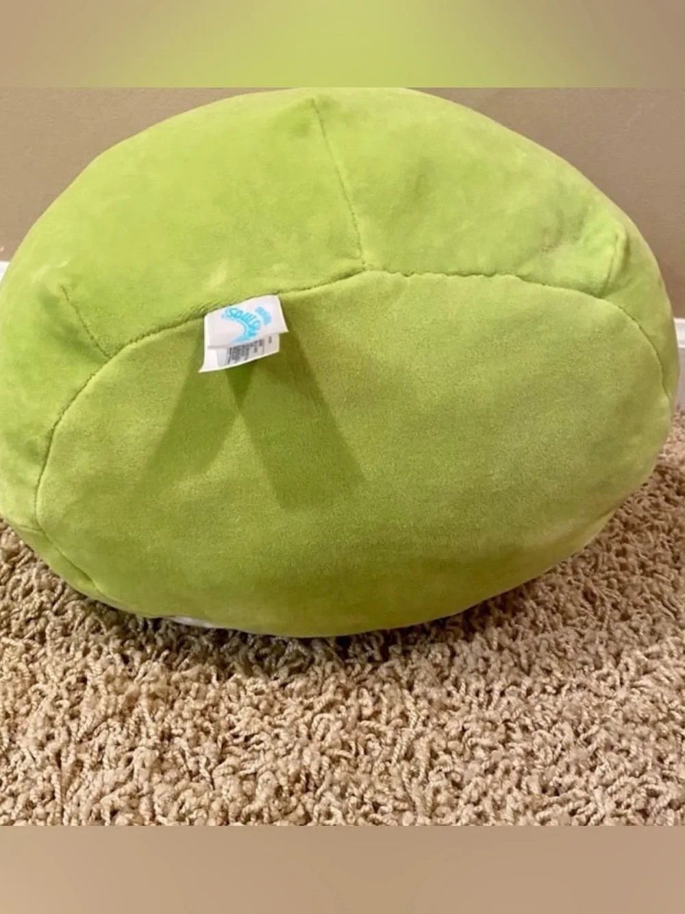 Squishmallows 13” Wendy the Frog with Floral Belly